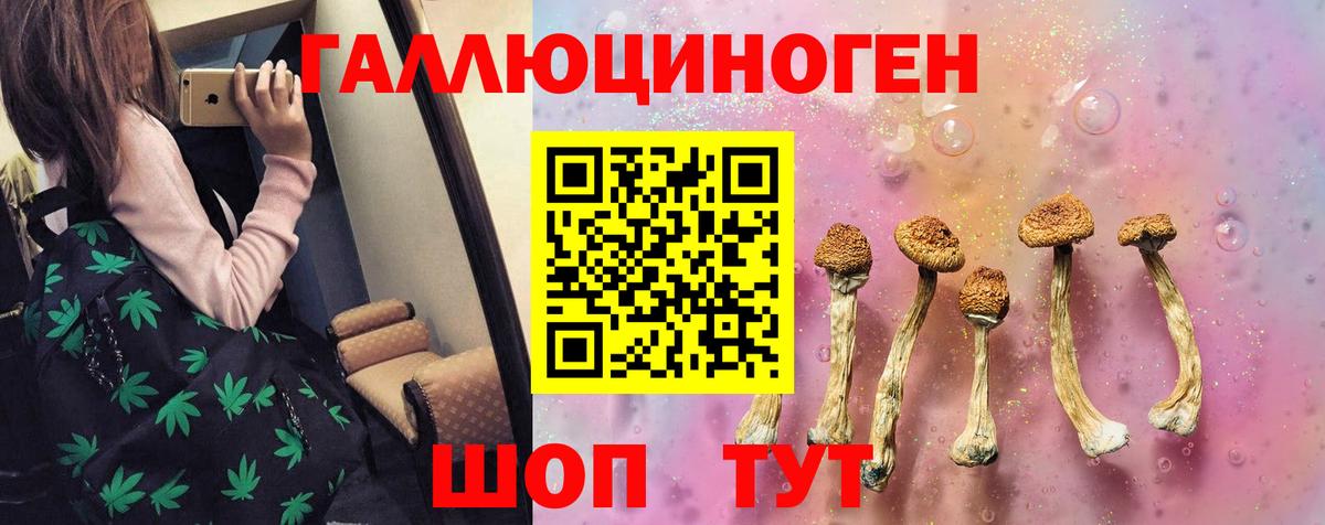 Тула  Псилоцибиновые грибы Psilocybine cubensis  Вход с VPN 